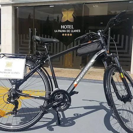 Hotel La Palma De