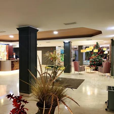 La Palma De Otel
