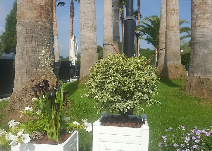 La Palma De Hotel Llanes