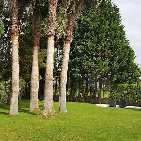 ホテル La Palma De