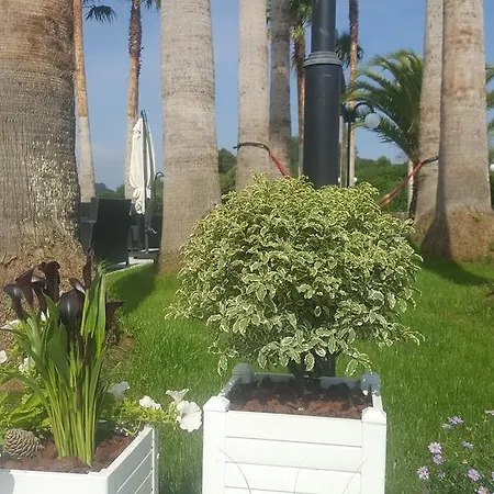 La Palma De ホテル リャネス